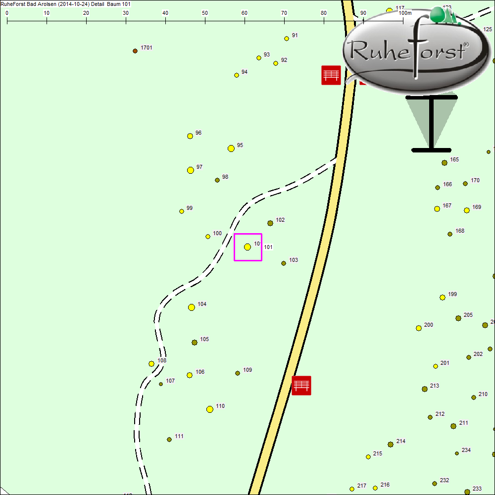 Detailkarte zu Baum 101