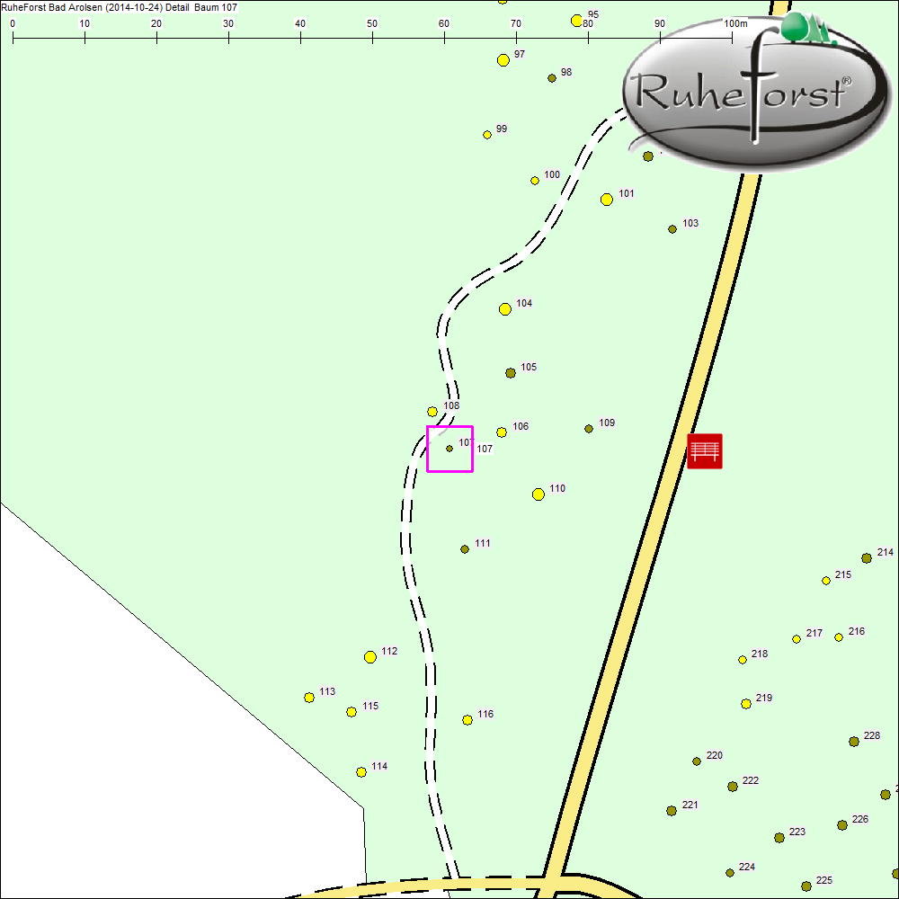 Detailkarte zu Baum 107