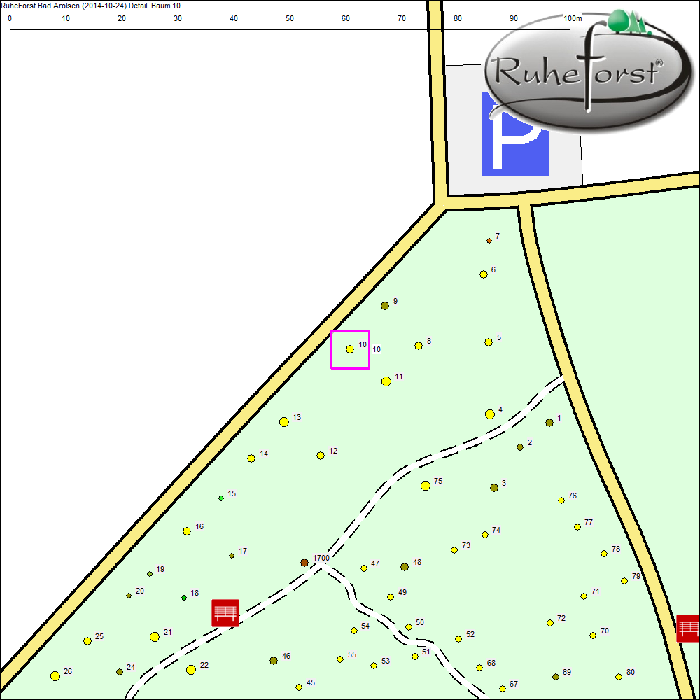 Detailkarte zu Baum 10