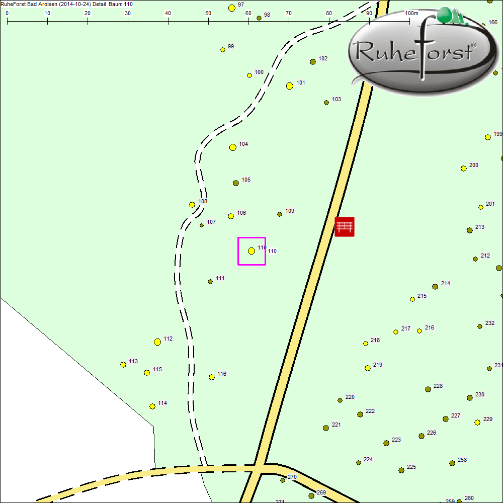 Detailkarte zu Baum 110