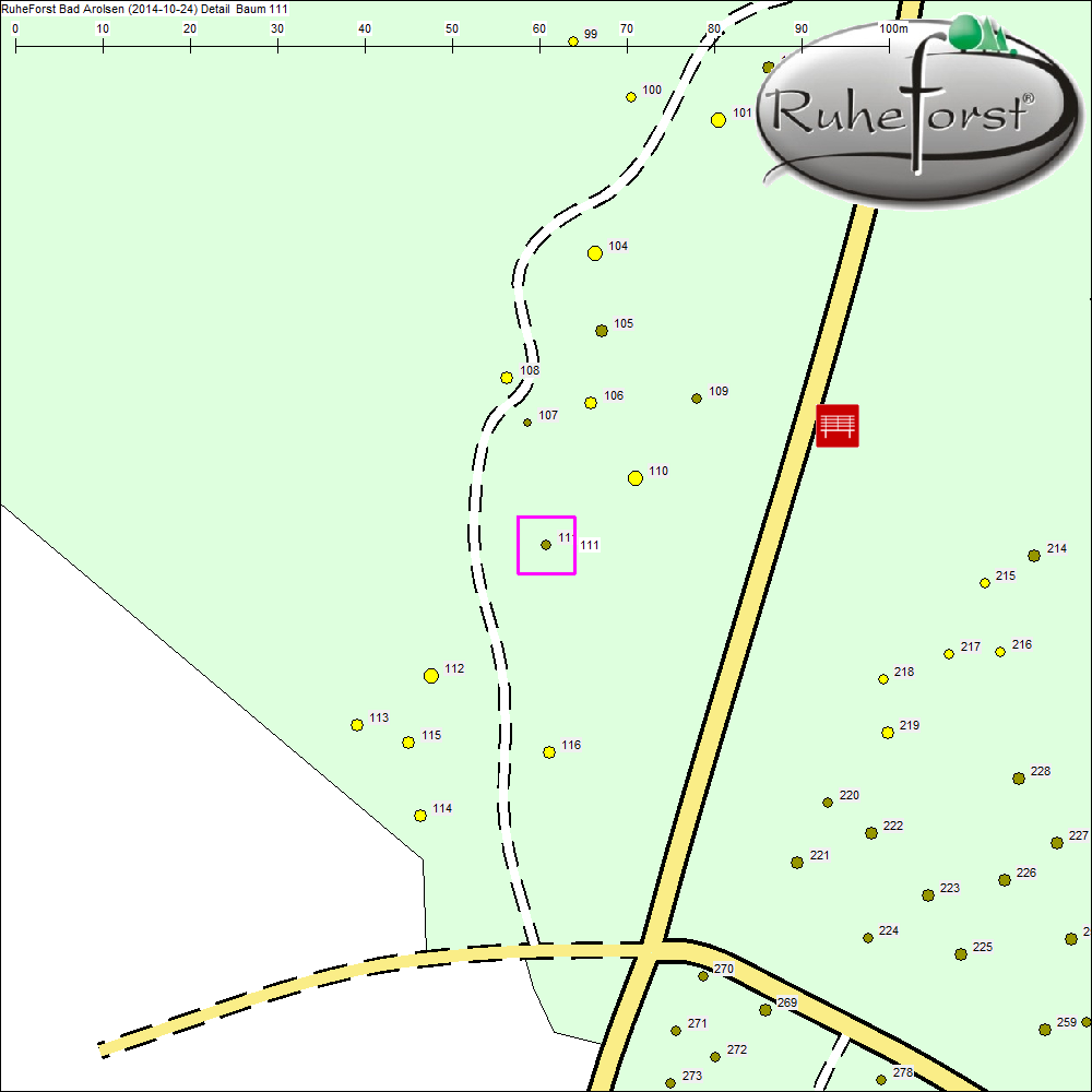 Detailkarte zu Baum 111