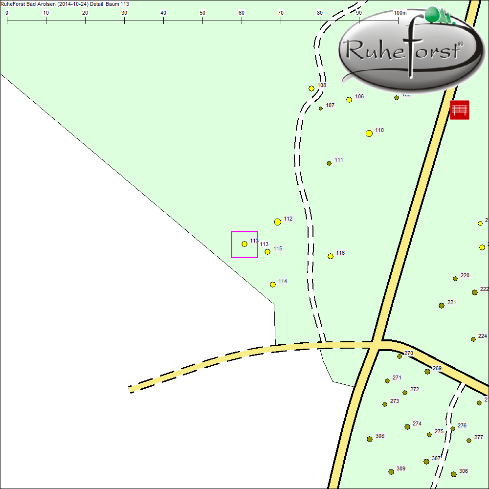 Detailkarte zu Baum 113