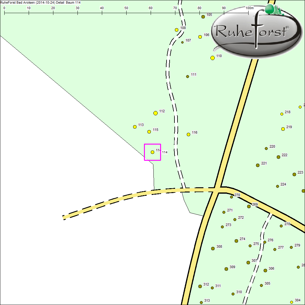 Detailkarte zu Baum 114