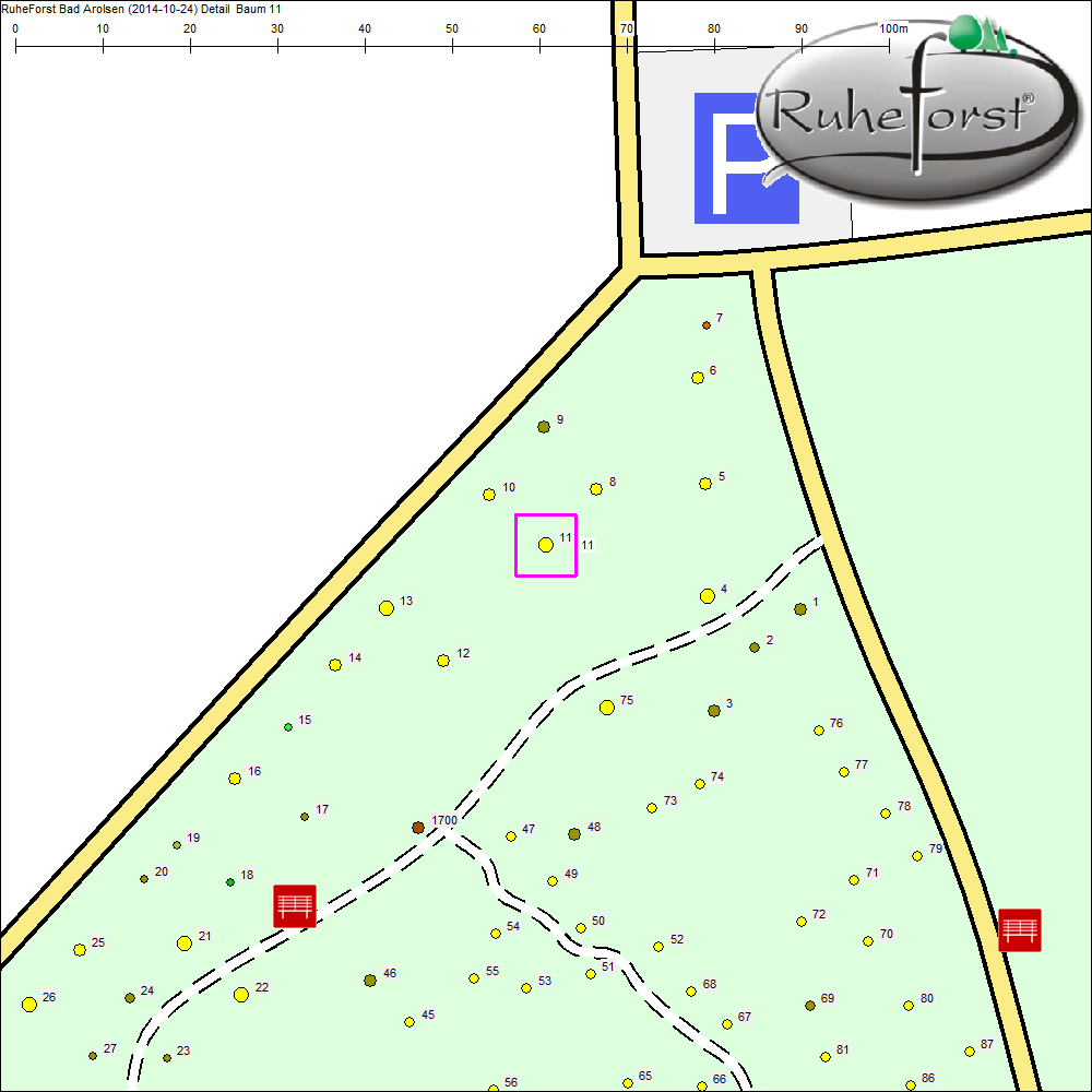 Detailkarte zu Baum 11