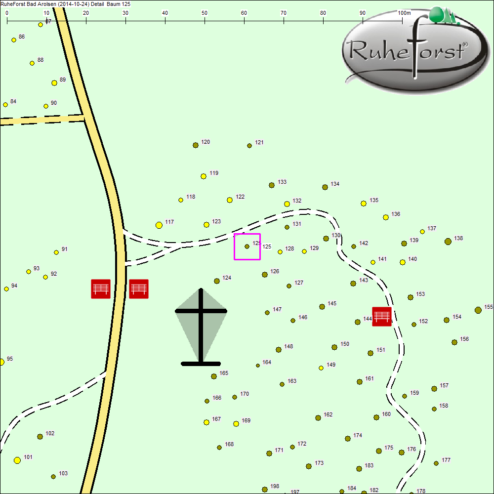 Detailkarte zu Baum 125