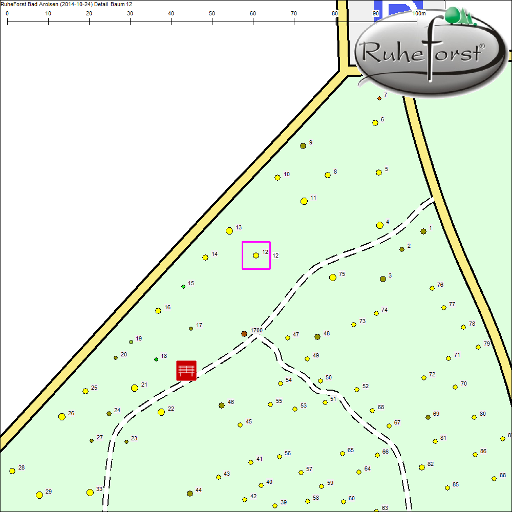 Detailkarte zu Baum 12
