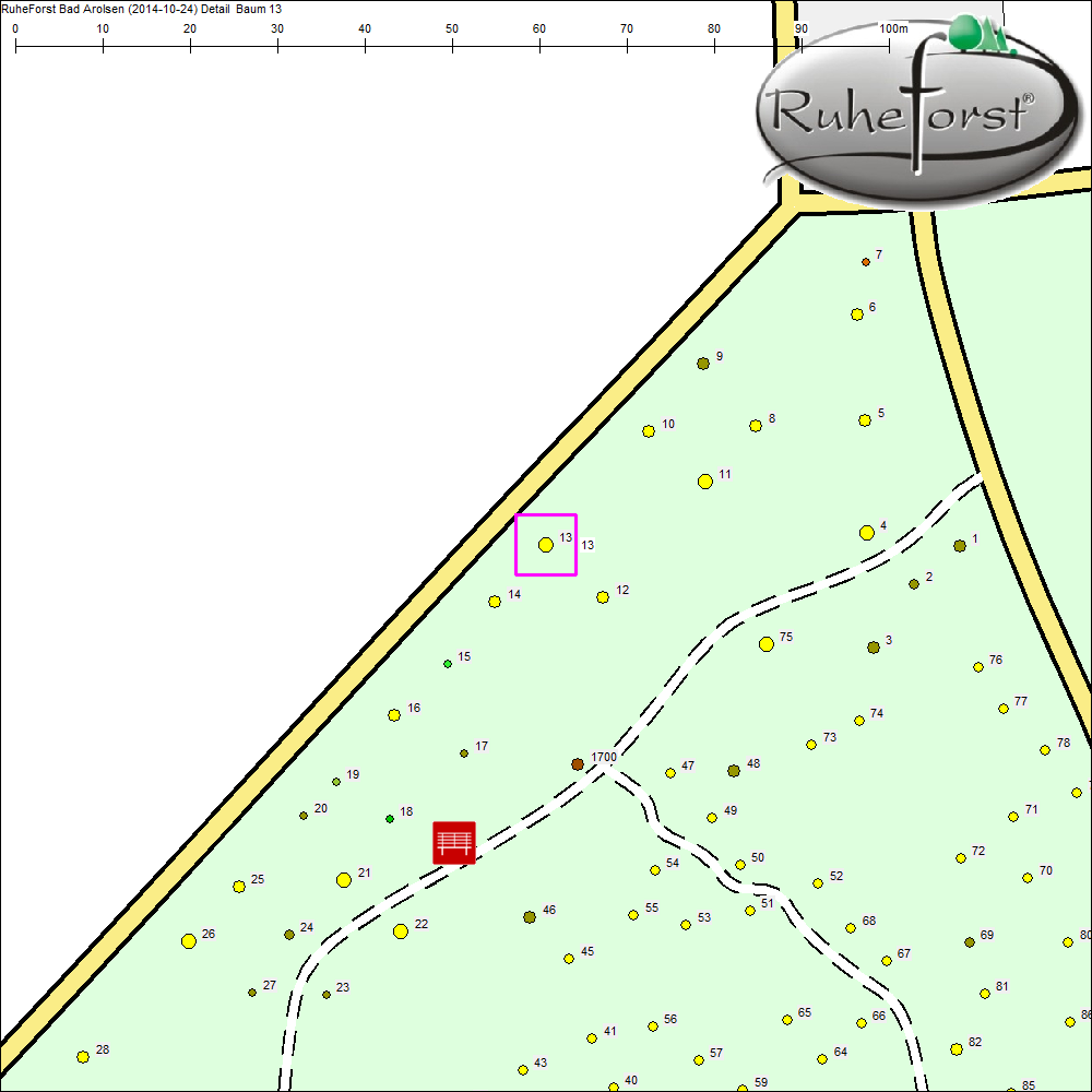 Detailkarte zu Baum 13