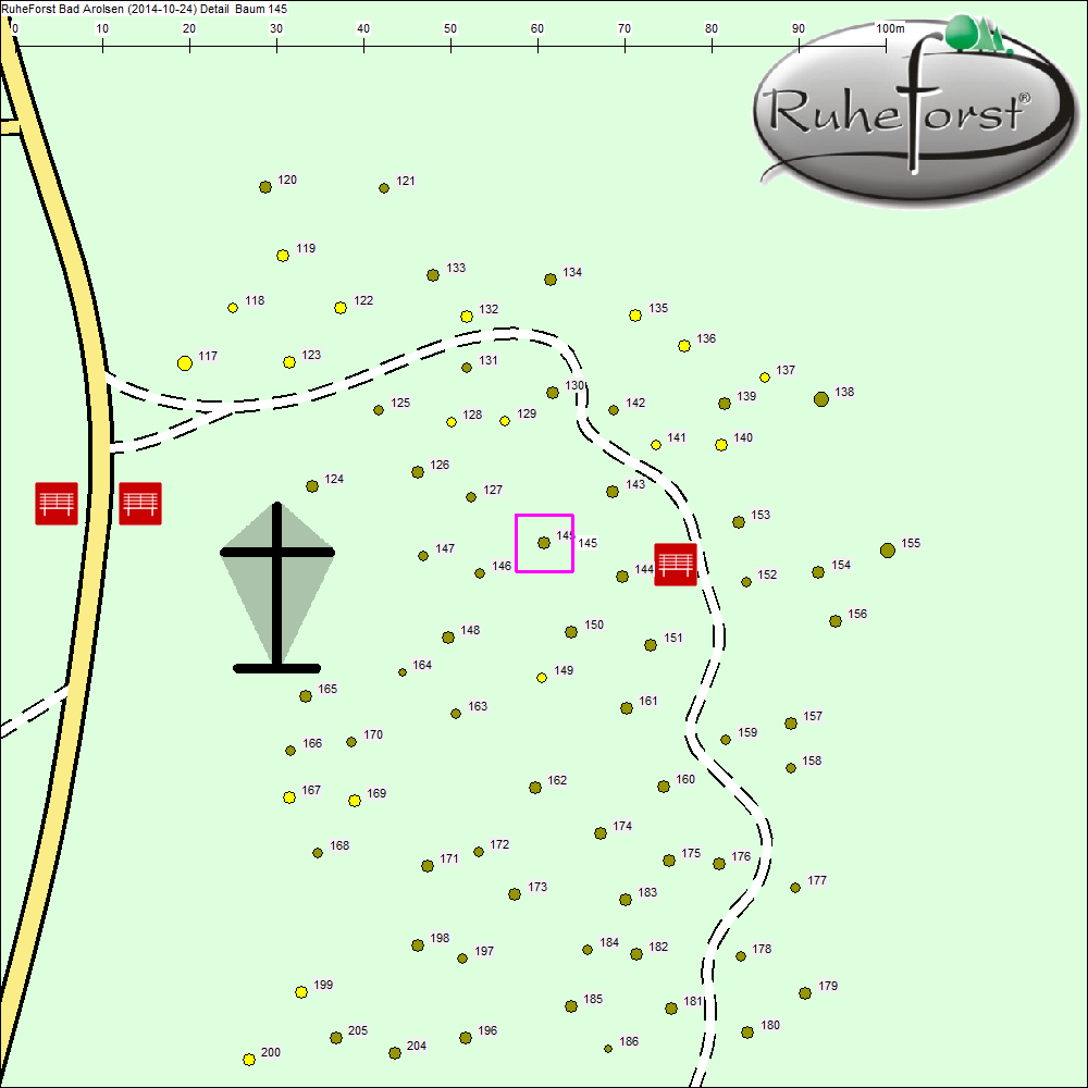 Detailkarte zu Baum 145