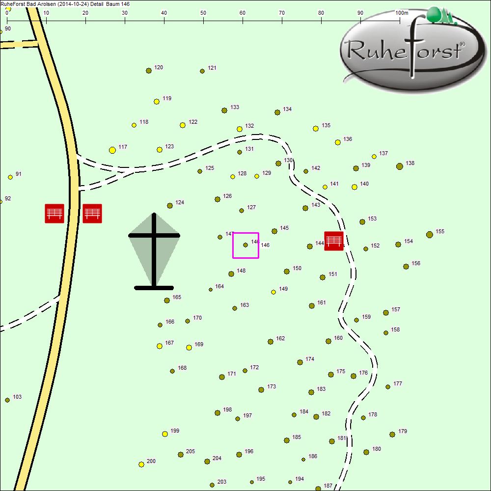 Detailkarte zu Baum 146