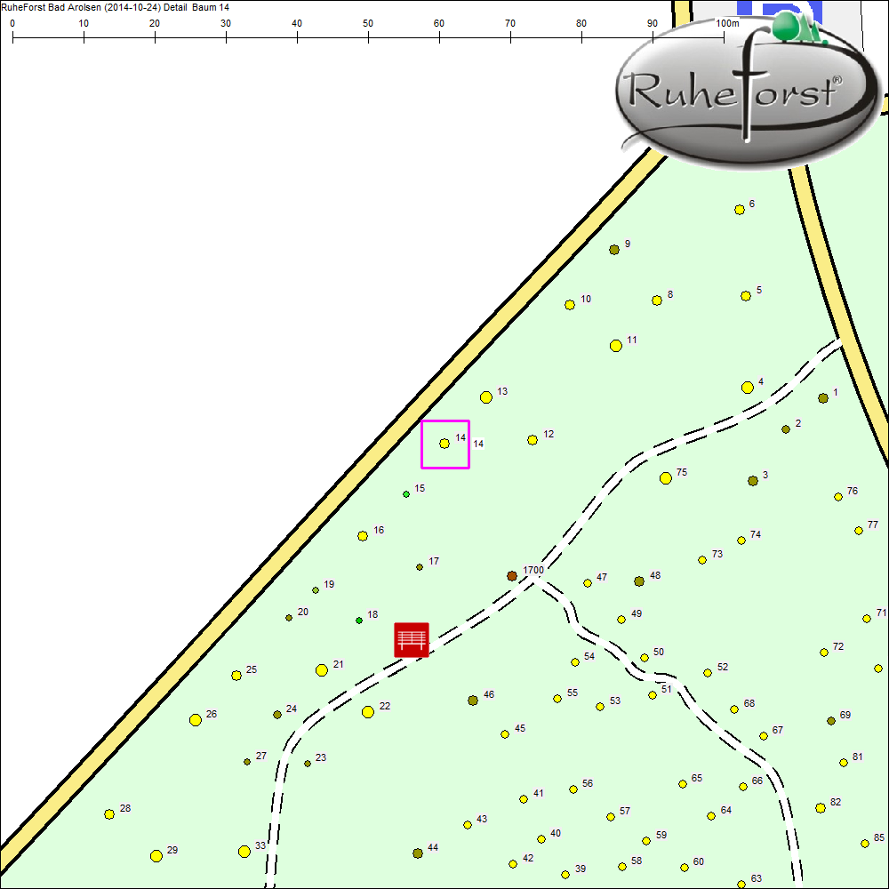Detailkarte zu Baum 14