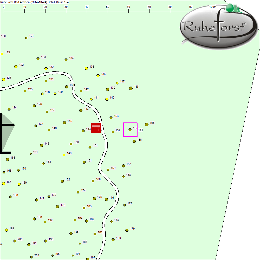 Detailkarte zu Baum 154