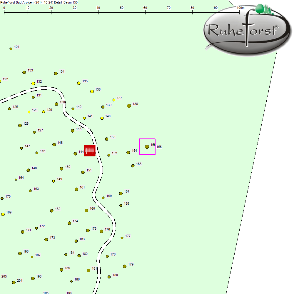 Detailkarte zu Baum 155