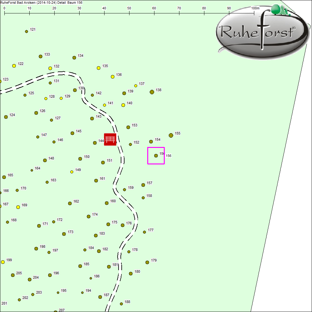 Detailkarte zu Baum 156