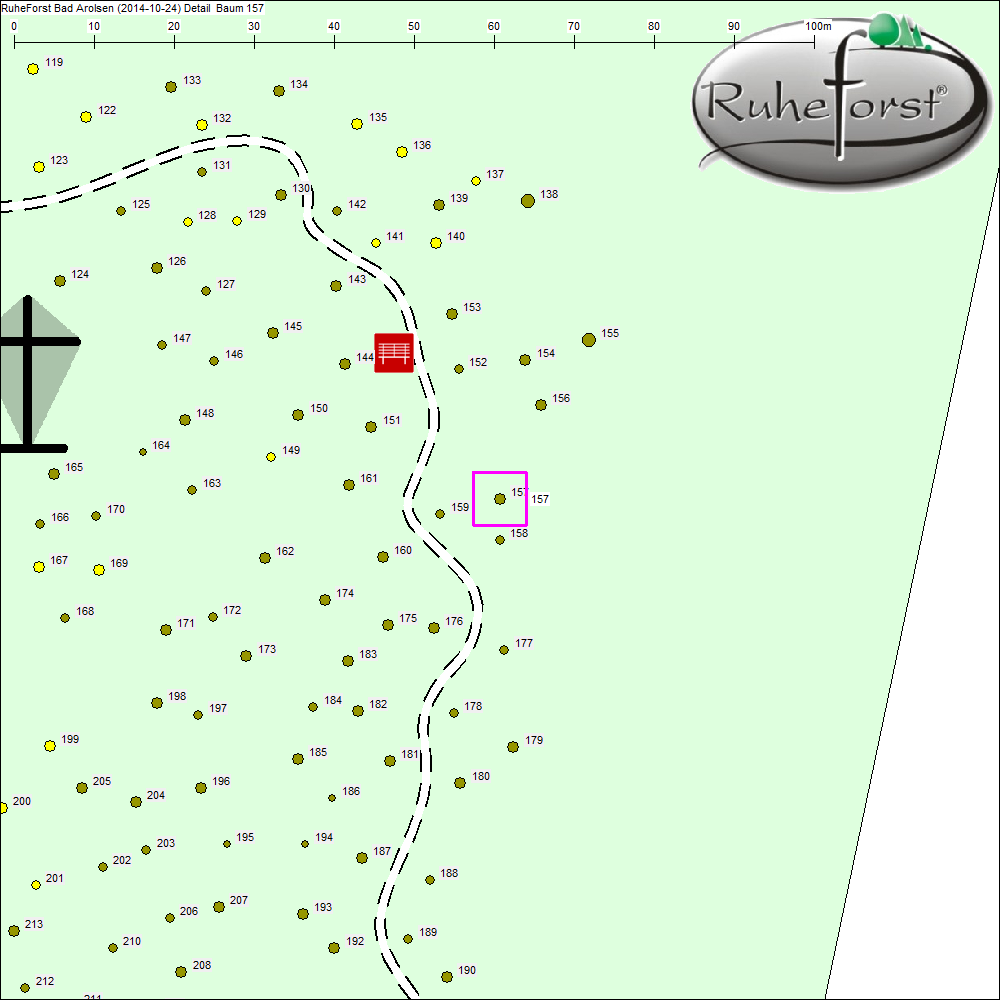Detailkarte zu Baum 157