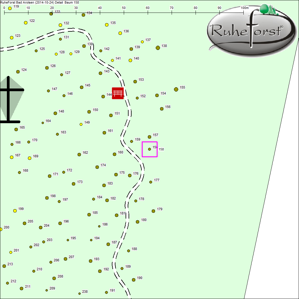 Detailkarte zu Baum 158
