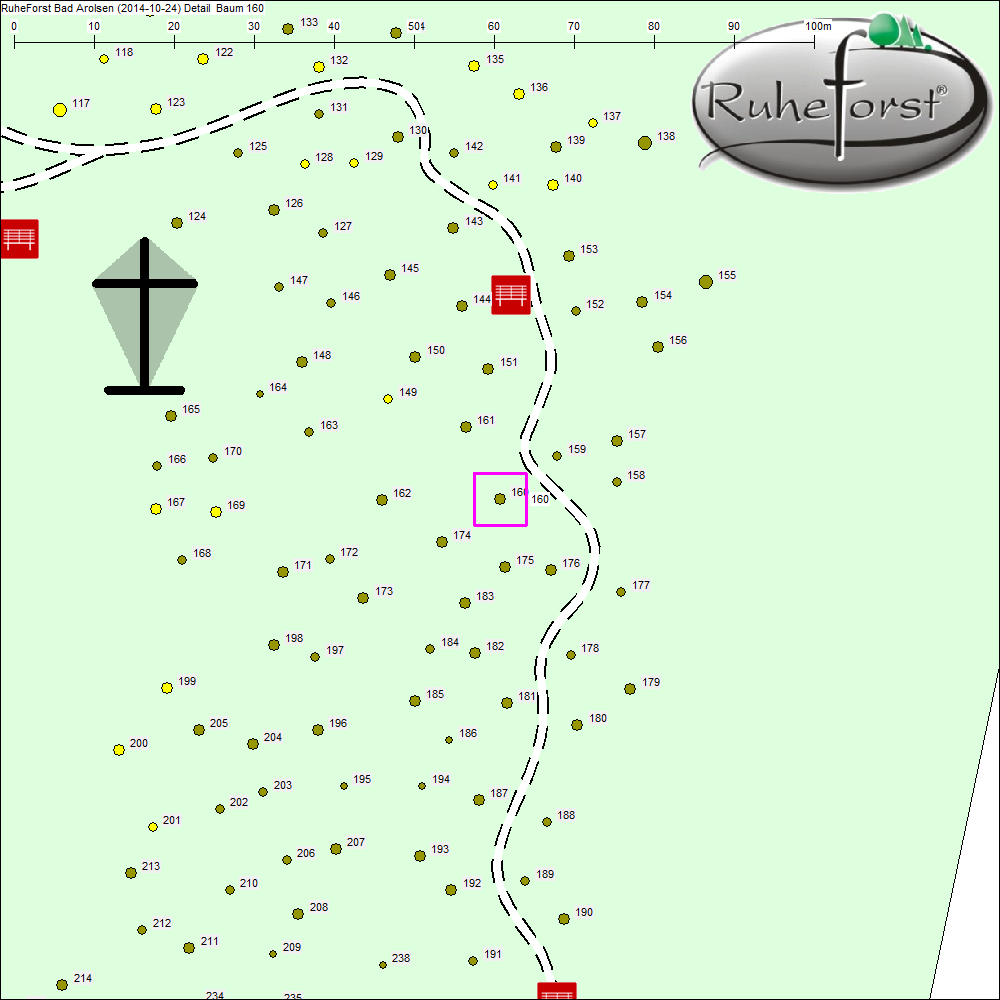 Detailkarte zu Baum 160