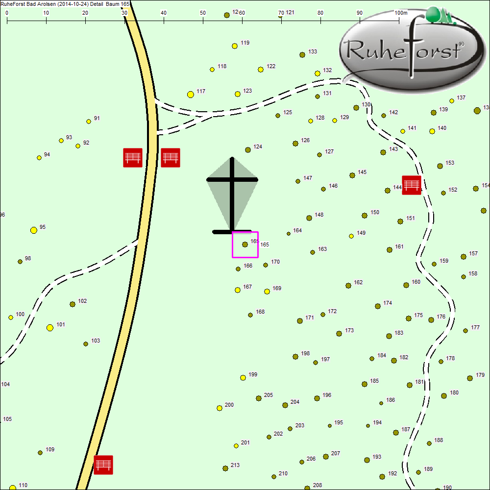 Detailkarte zu Baum 165