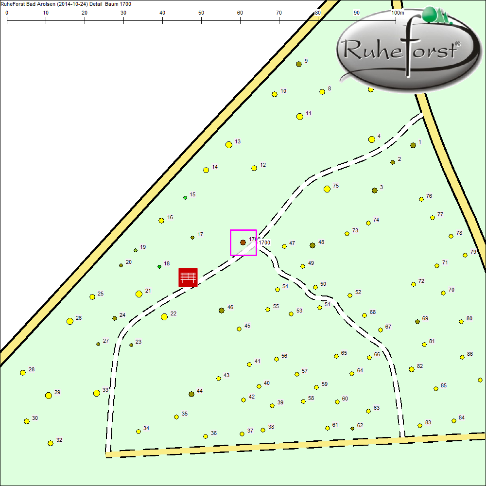 Detailkarte zu Baum 1700