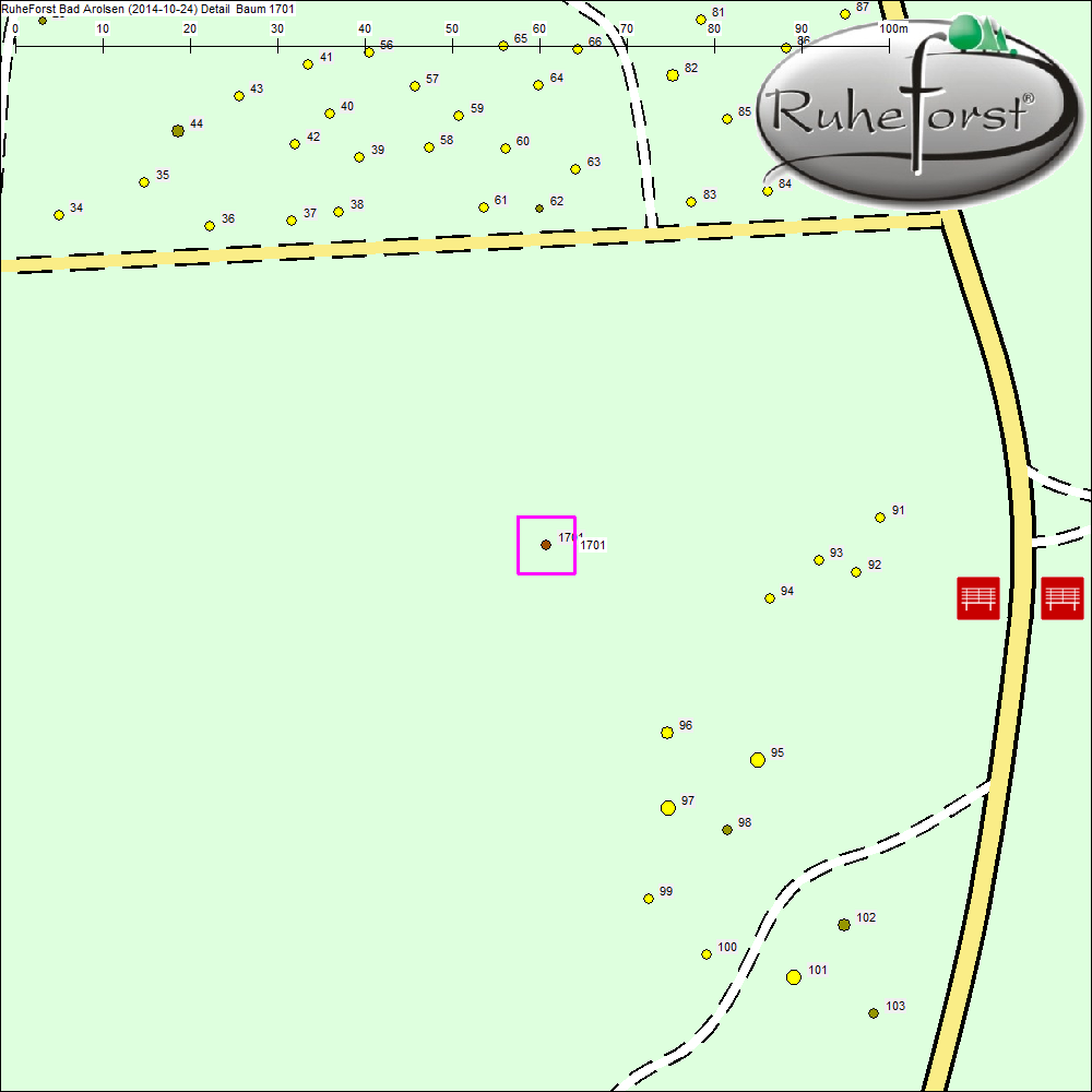 Detailkarte zu Baum 1701