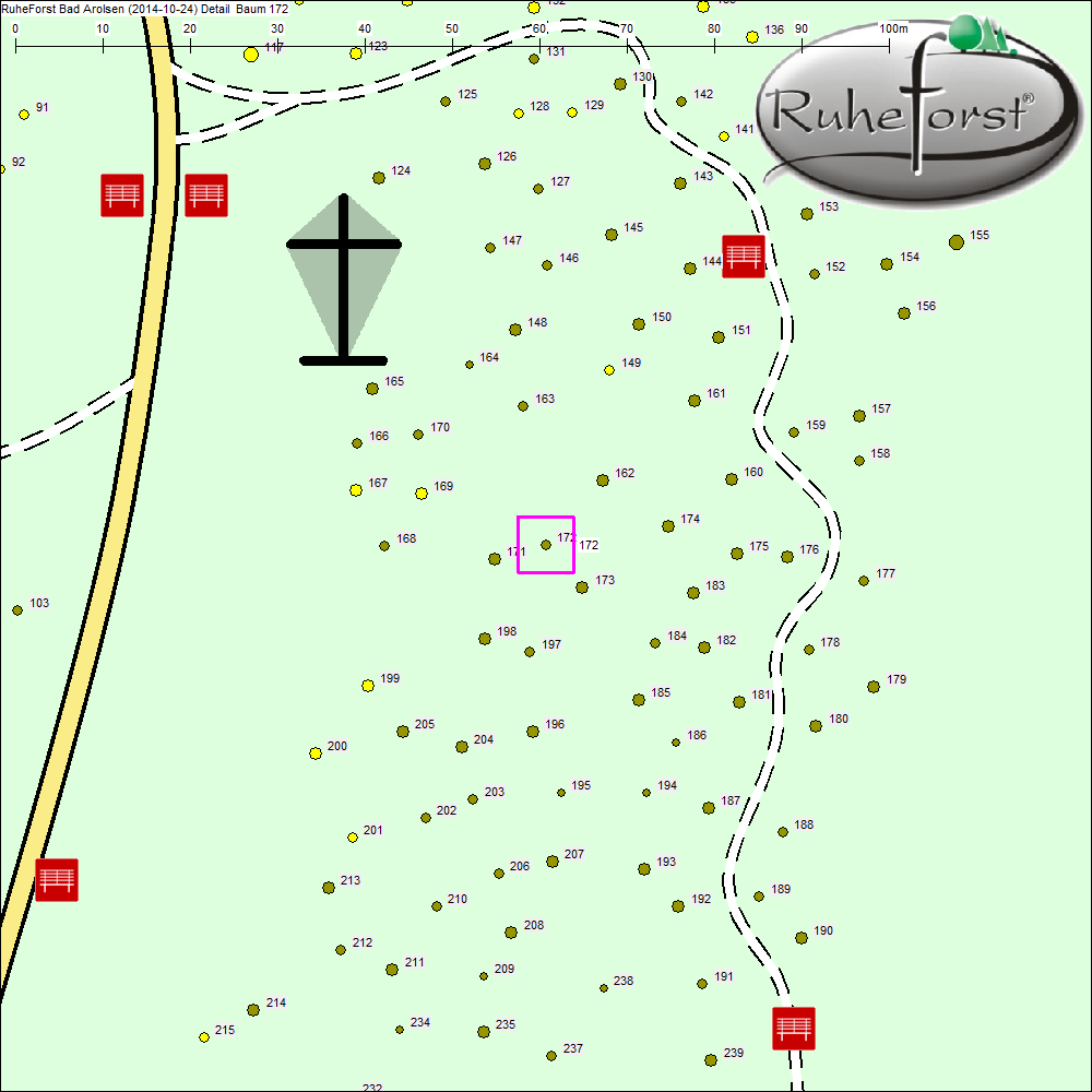 Detailkarte zu Baum 172