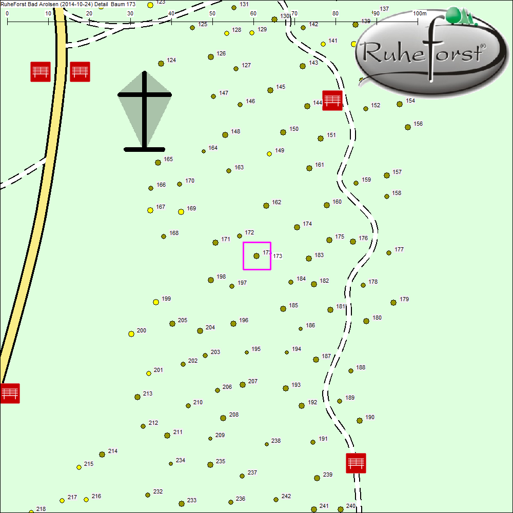Detailkarte zu Baum 173