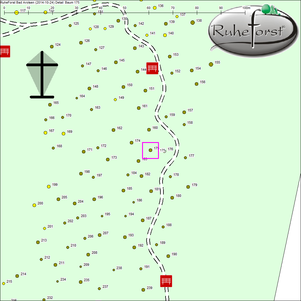 Detailkarte zu Baum 175