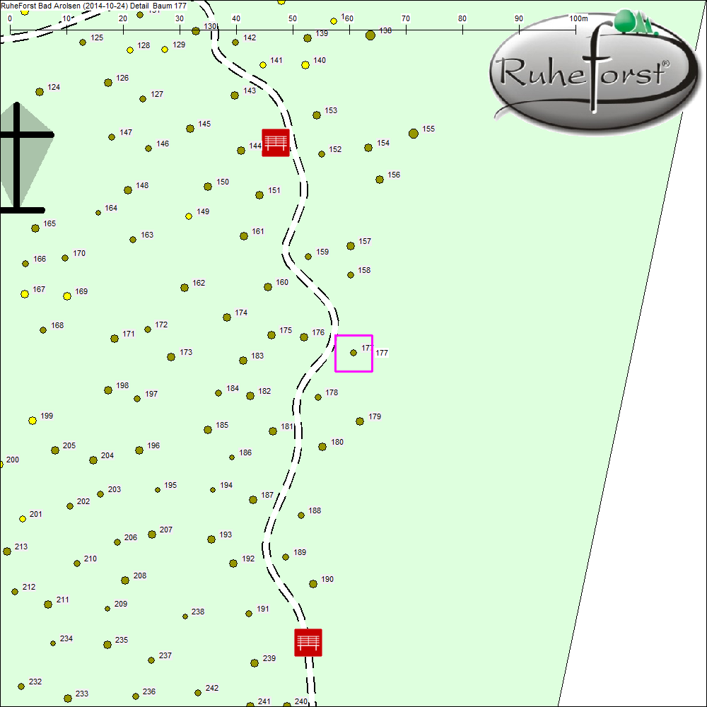 Detailkarte zu Baum 177