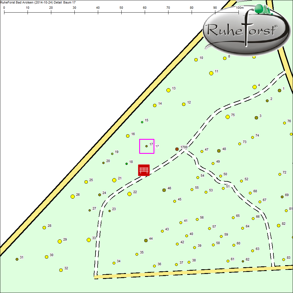 Detailkarte zu Baum 17