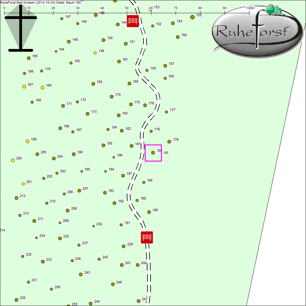Detailkarte zu Baum 180