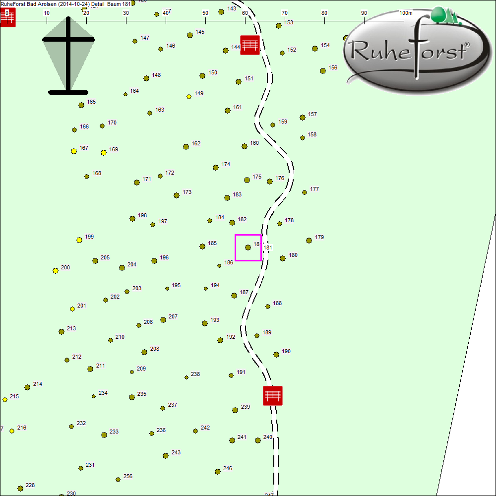 Detailkarte zu Baum 181