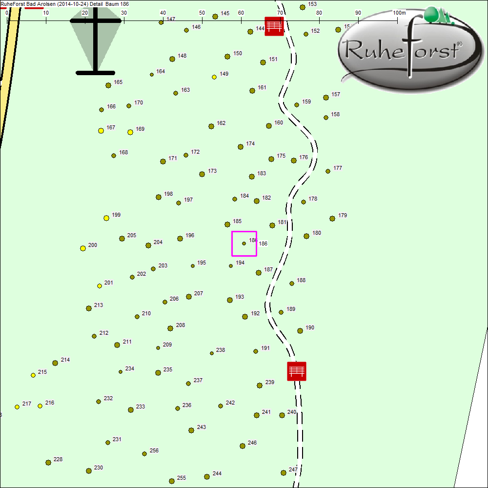 Detailkarte zu Baum 186