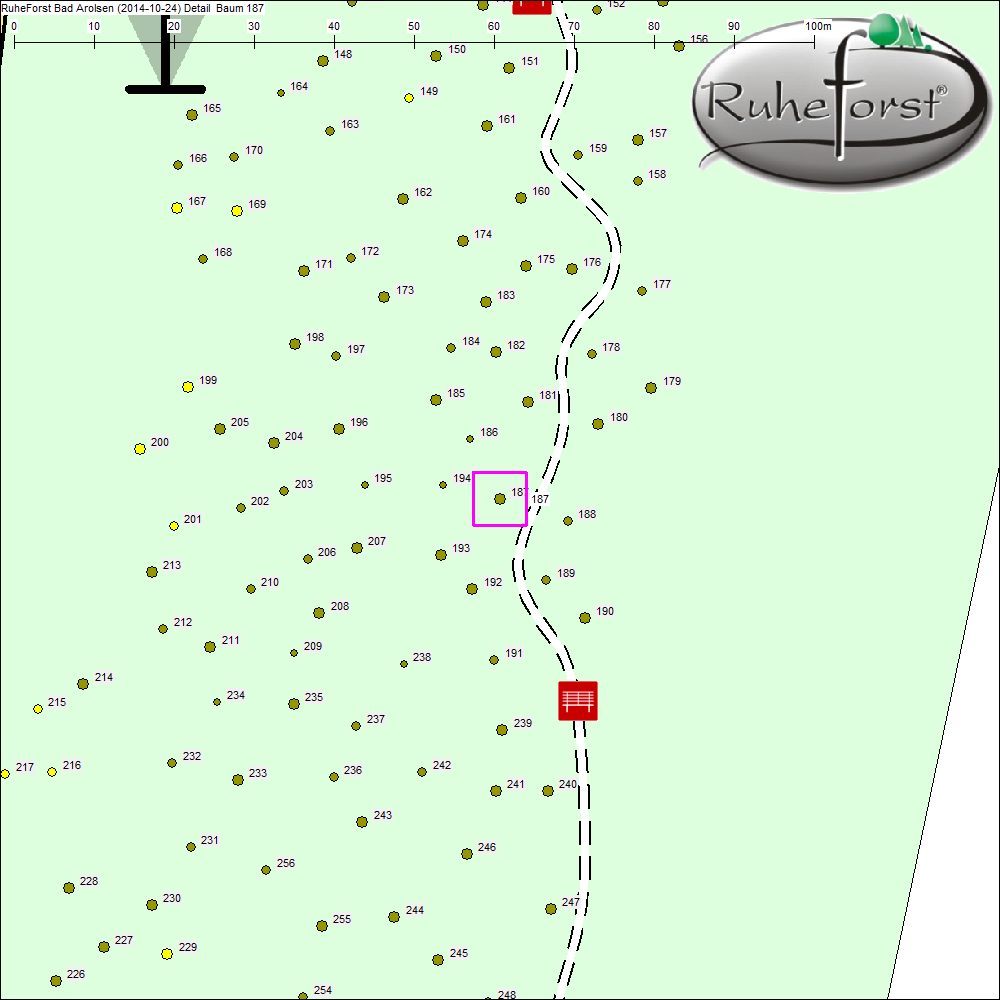 Detailkarte zu Baum 187