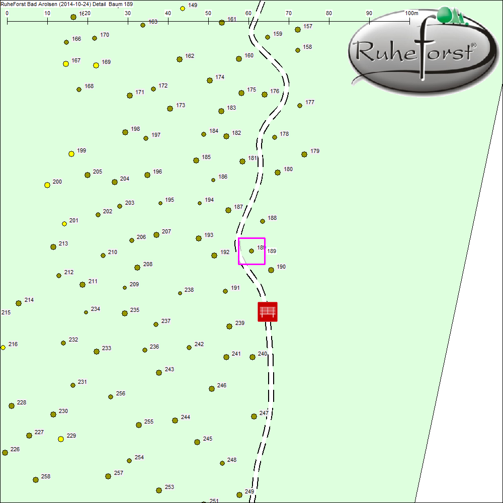 Detailkarte zu Baum 189