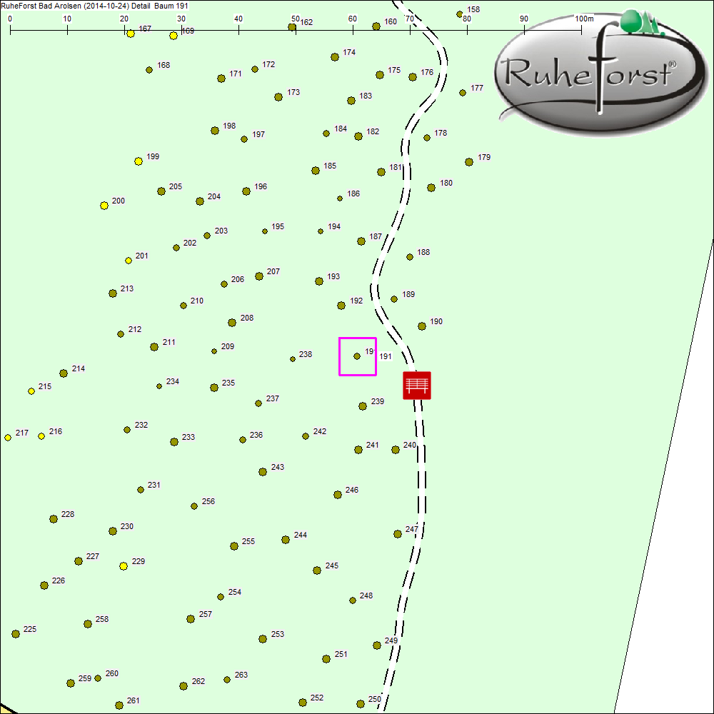 Detailkarte zu Baum 191