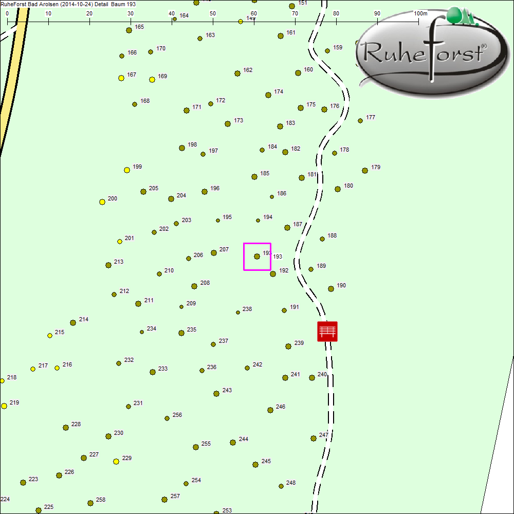 Detailkarte zu Baum 193