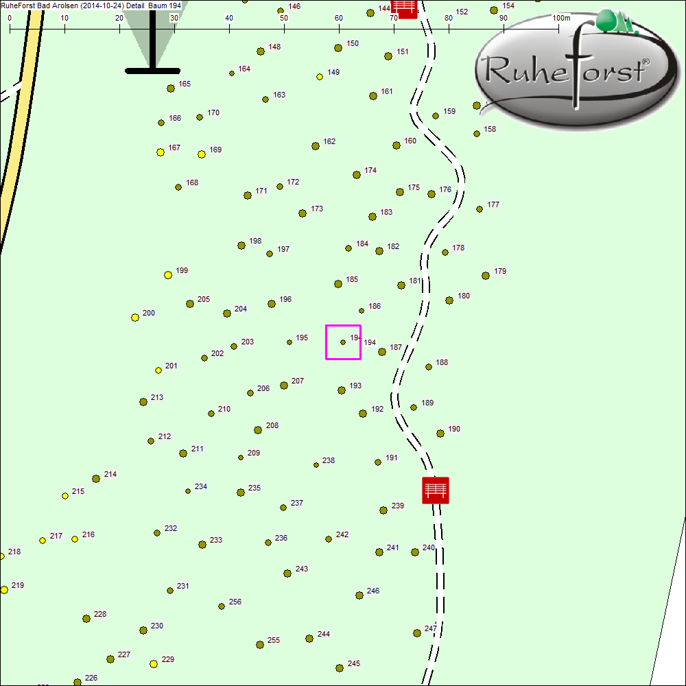 Detailkarte zu Baum 194