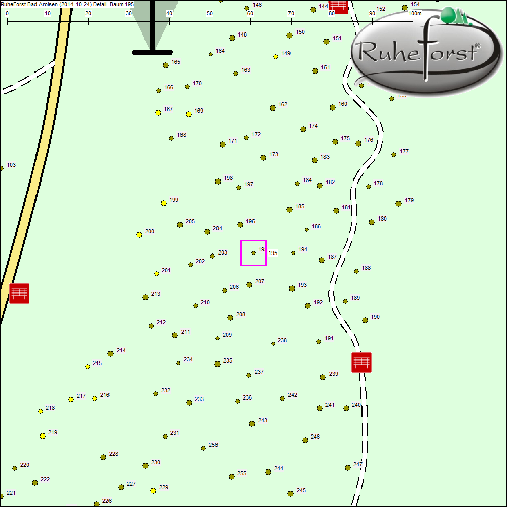 Detailkarte zu Baum 195