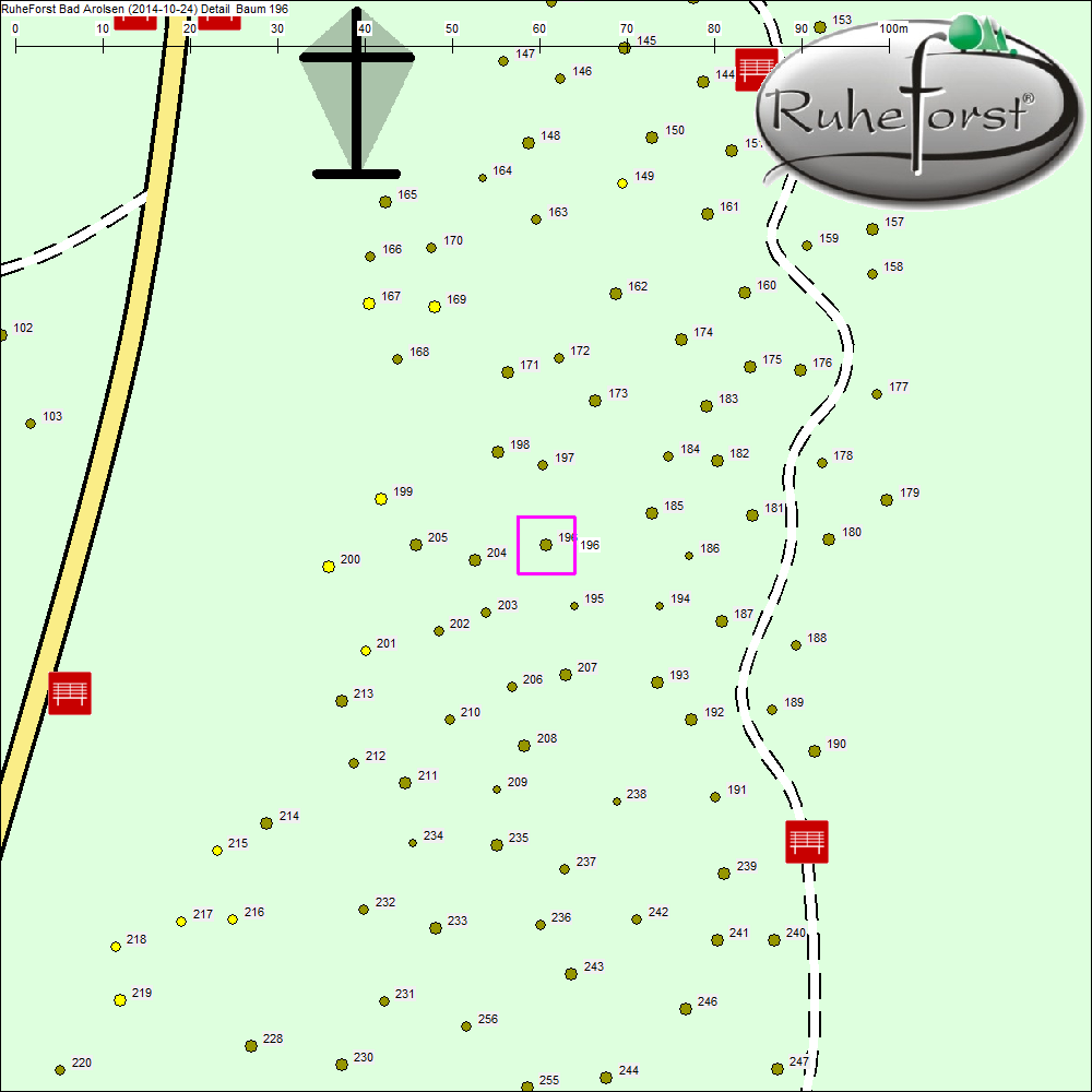 Detailkarte zu Baum 196