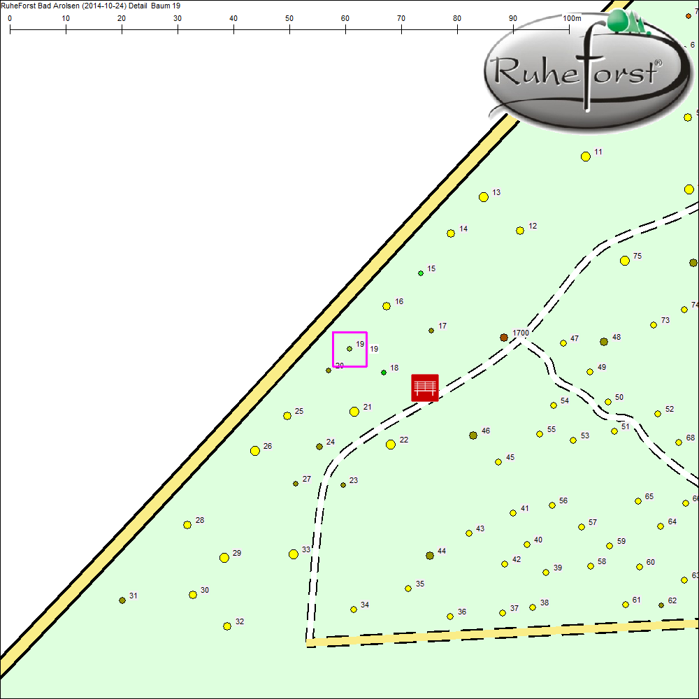 Detailkarte zu Baum 19