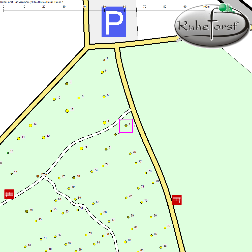 Detailkarte zu Baum 1