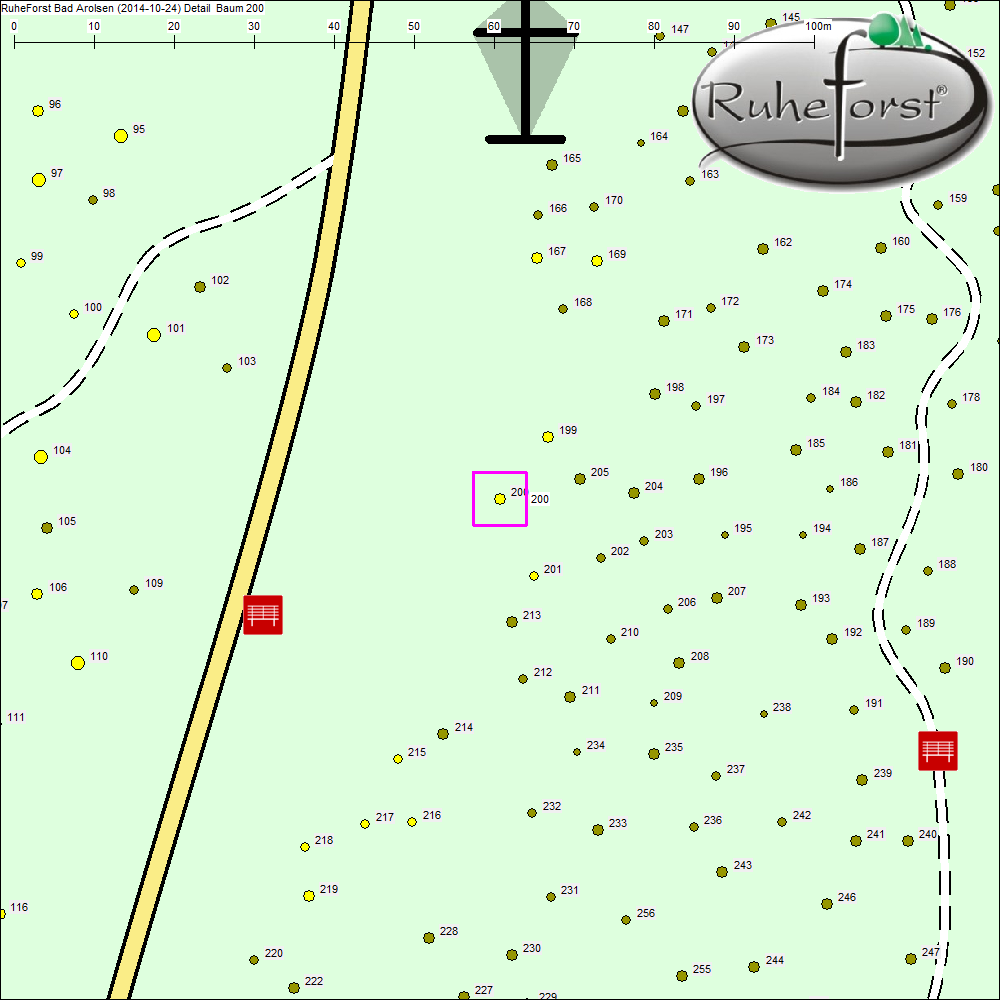 Detailkarte zu Baum 200