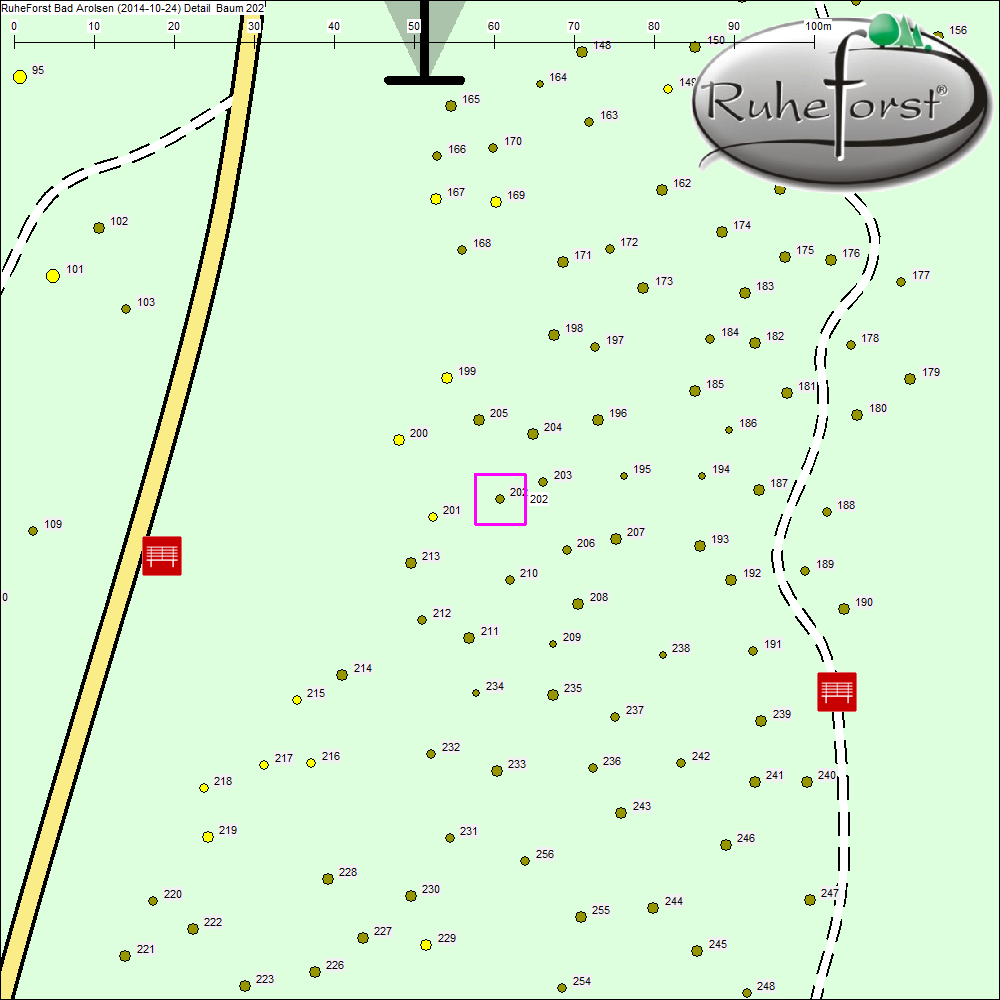 Detailkarte zu Baum 202