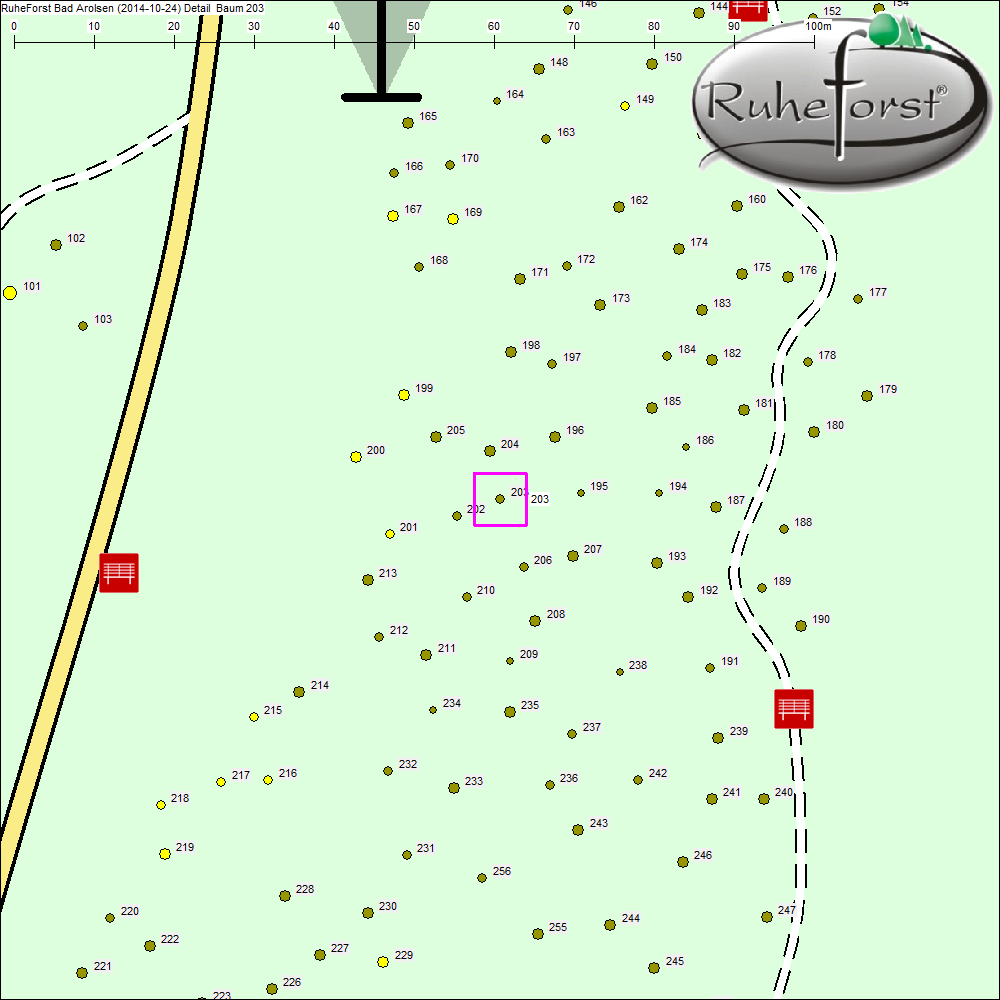 Detailkarte zu Baum 203