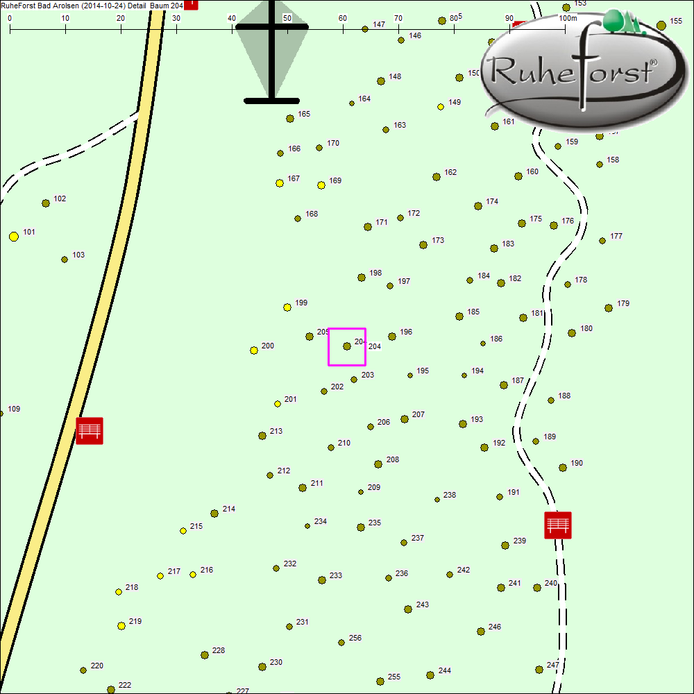 Detailkarte zu Baum 204