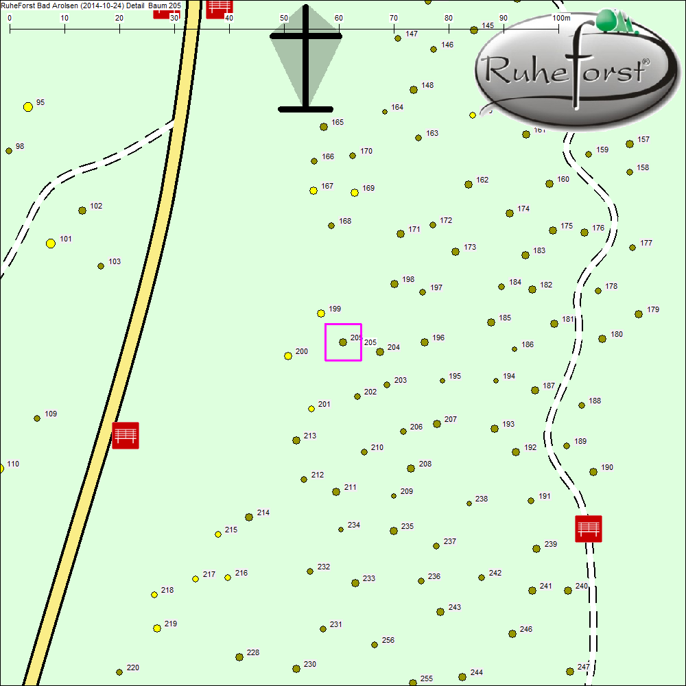 Detailkarte zu Baum 205