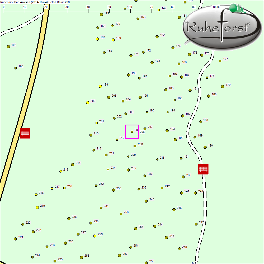 Detailkarte zu Baum 206