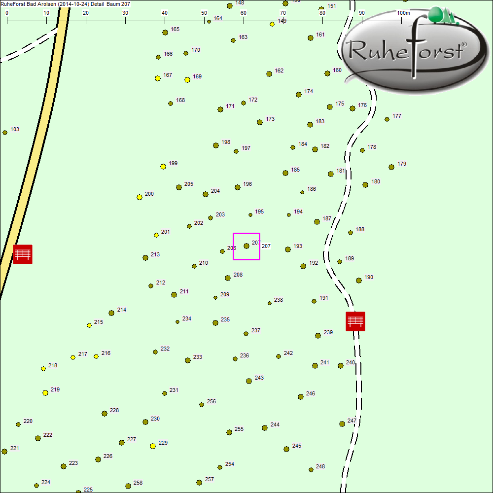 Detailkarte zu Baum 207