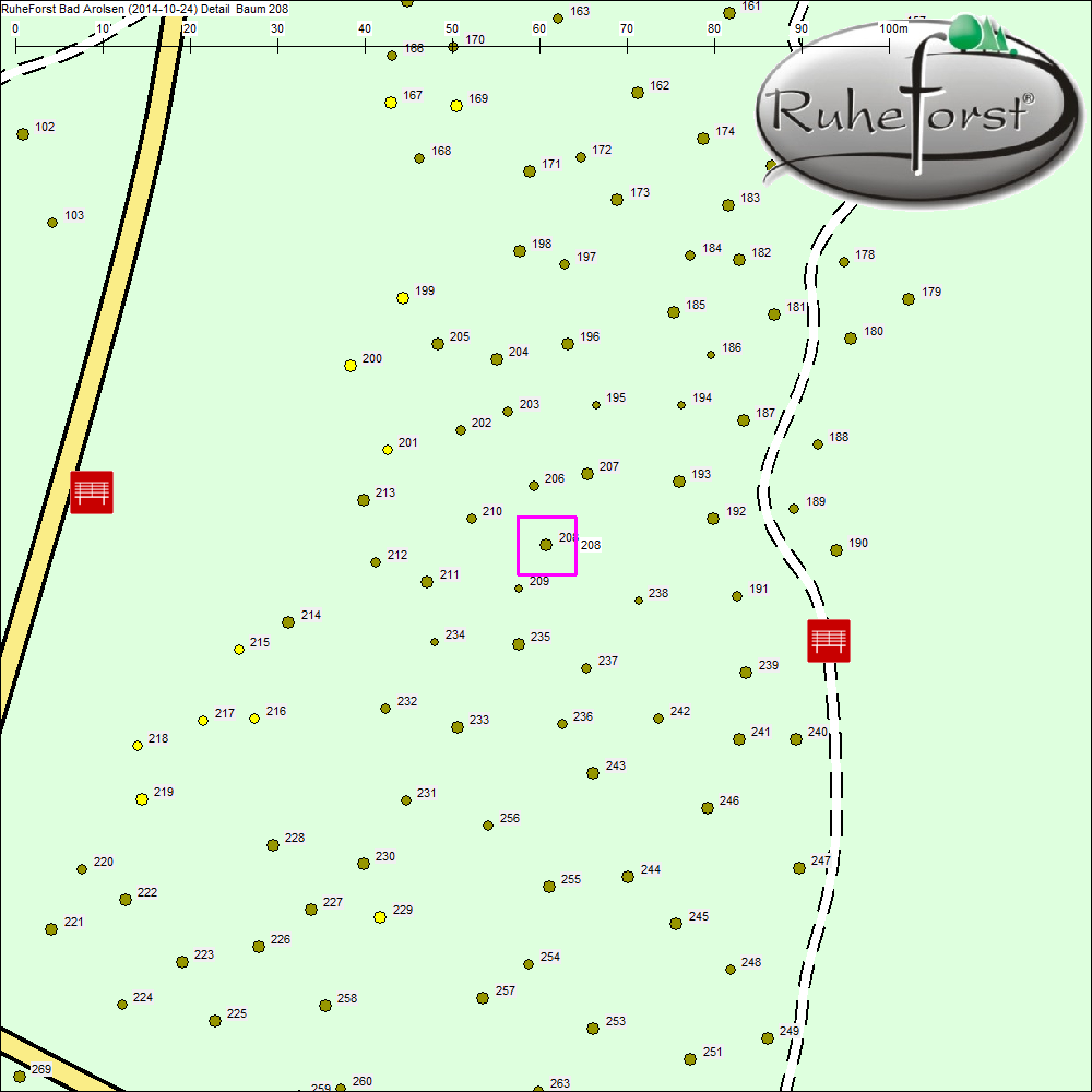 Detailkarte zu Baum 208