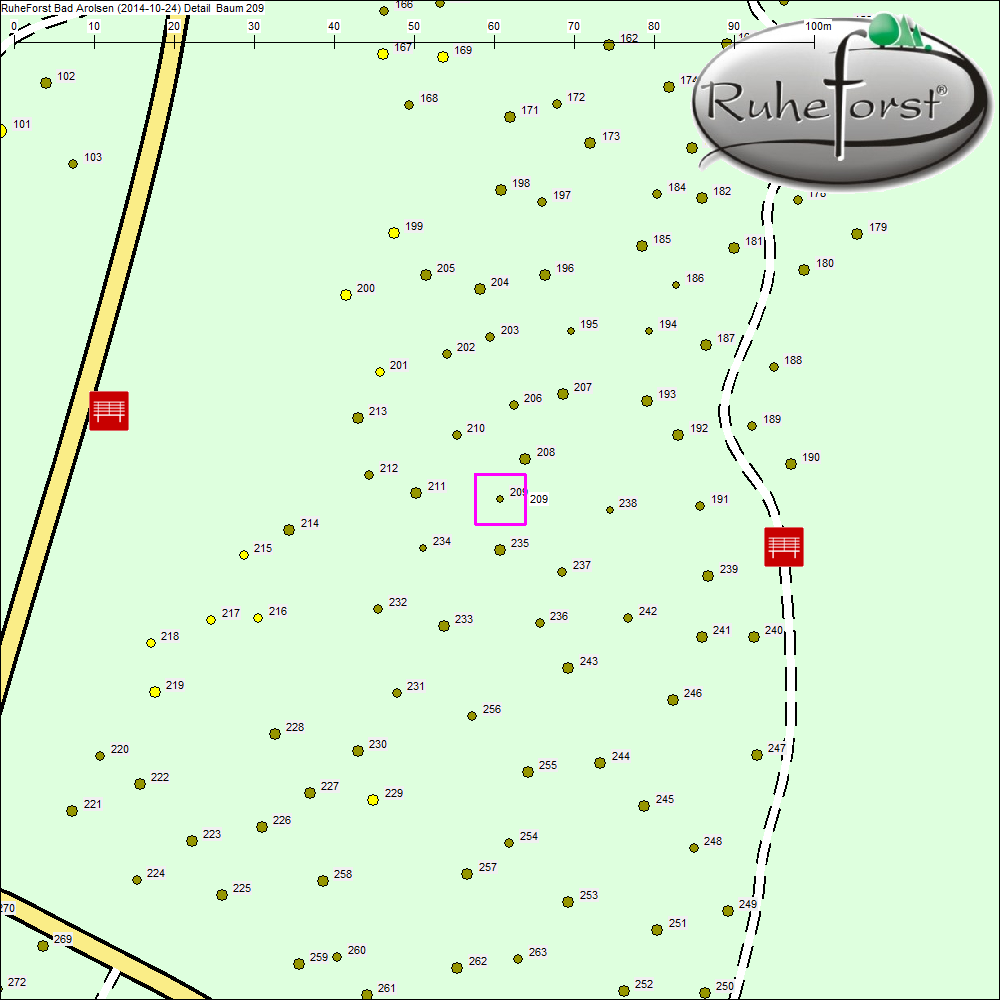 Detailkarte zu Baum 209