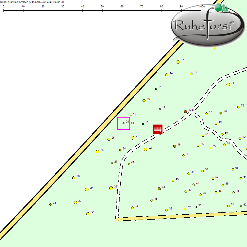 Detailkarte zu Baum 20